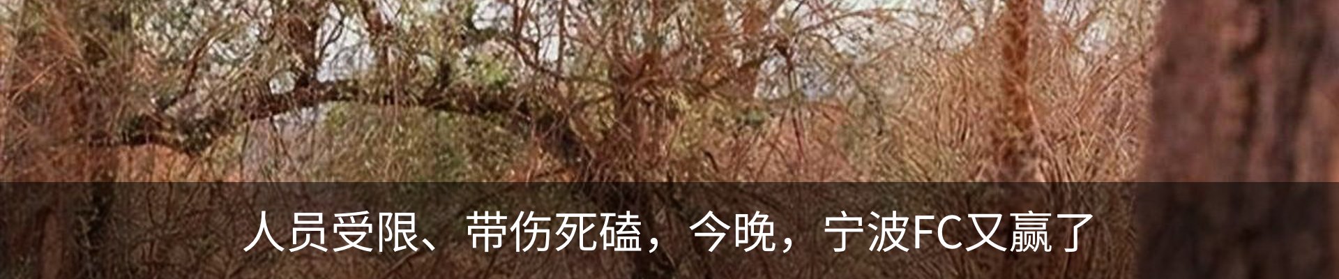 资讯中心