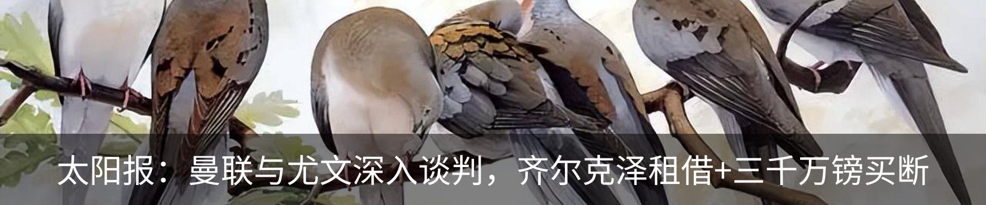 资讯中心