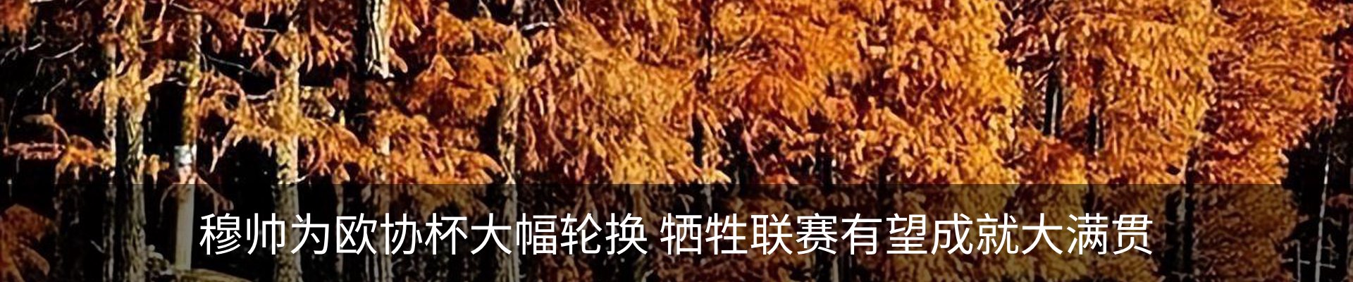 资讯中心