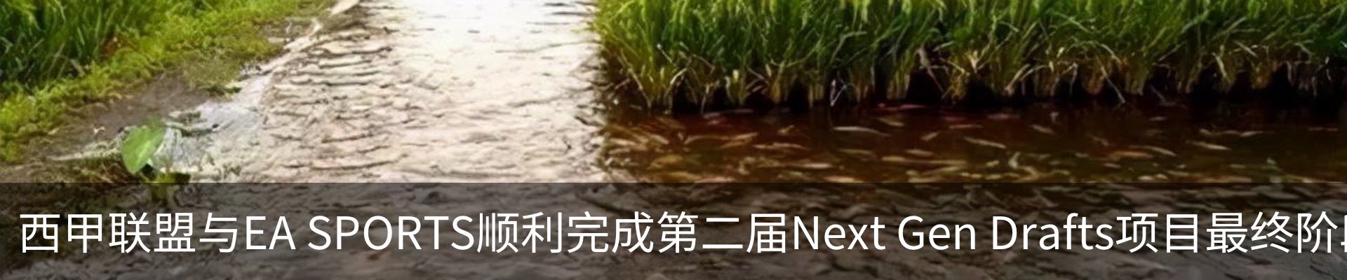 资讯中心