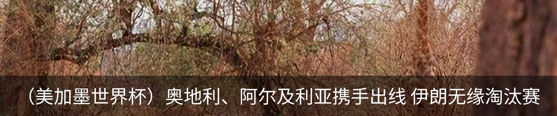 资讯中心