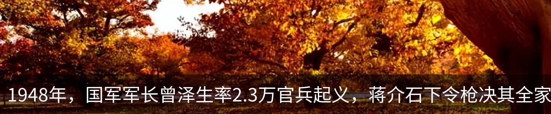 资讯中心