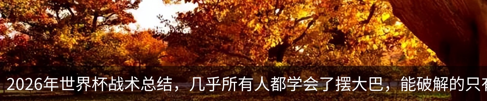 资讯中心
